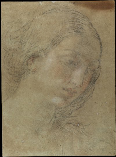 Head of a Young Woman by Giovanni Andrea Sirani